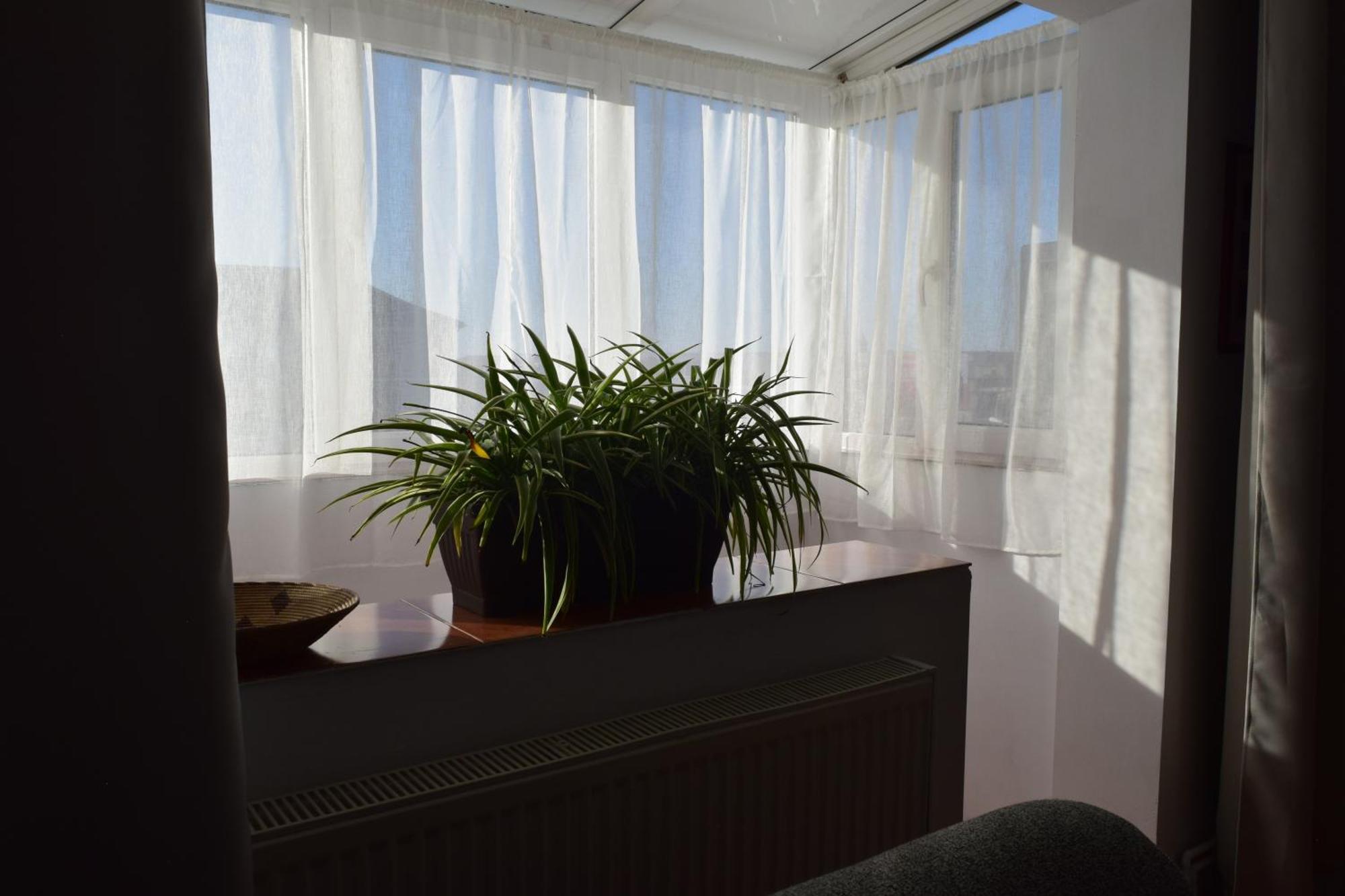 Apartament Simina ティミショアラ エクステリア 写真
