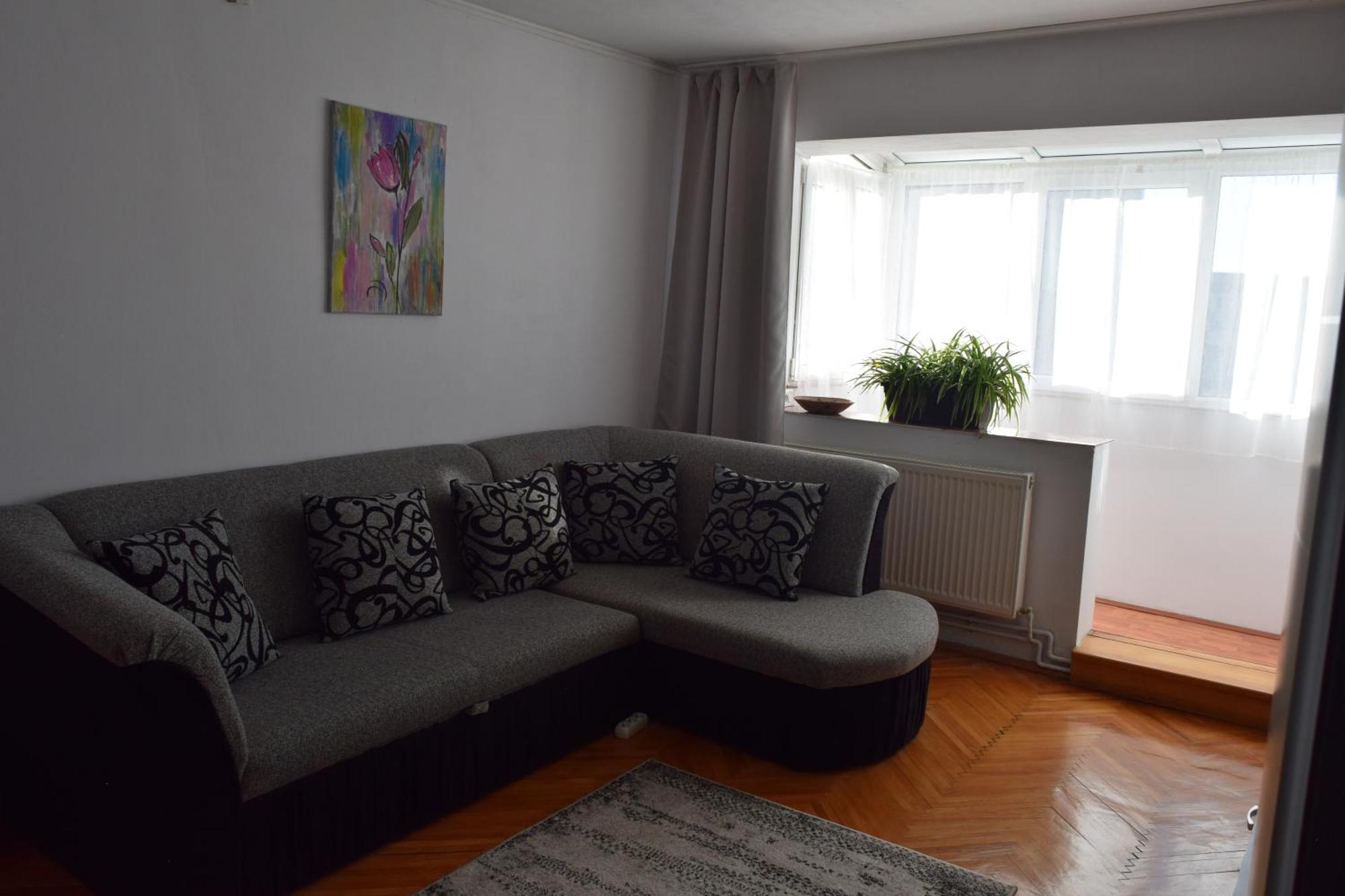 Apartament Simina ティミショアラ エクステリア 写真